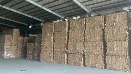 夯實(shí)前端回收，轉(zhuǎn)變模式再出發(fā) 劉磊在第七屆中國(guó)回收紙行業(yè)大會(huì)的探索之路