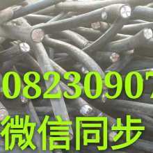 循環經濟的基石 再生資源回收的意義、挑戰與發展路徑